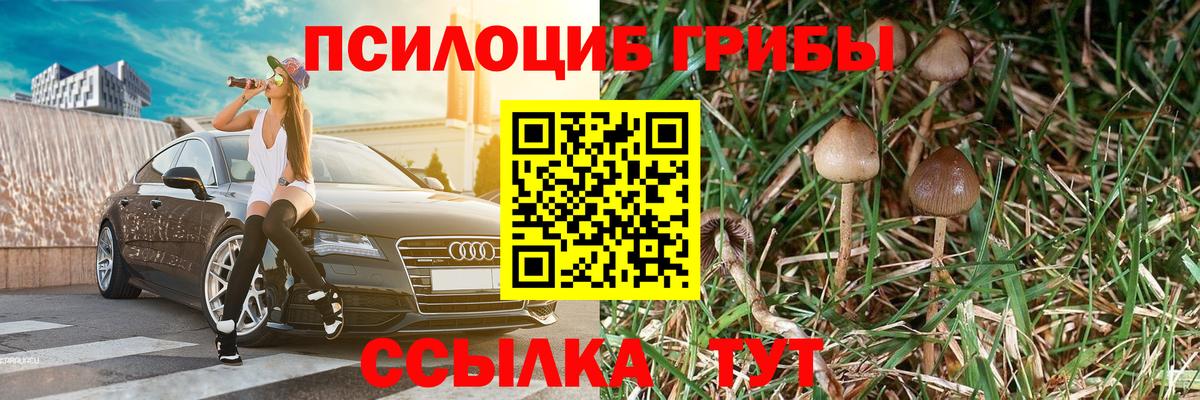Псилоцибиновые грибы MAGIC MUSHROOMS  Вход с VPN  Полысаево  Галлюциногенные грибы MAGIC MUSHROOMS 